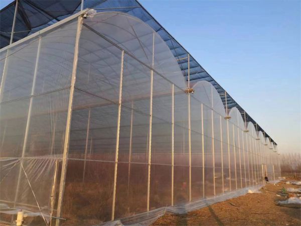 連棟溫室大棚的概述和結(jié)構(gòu)